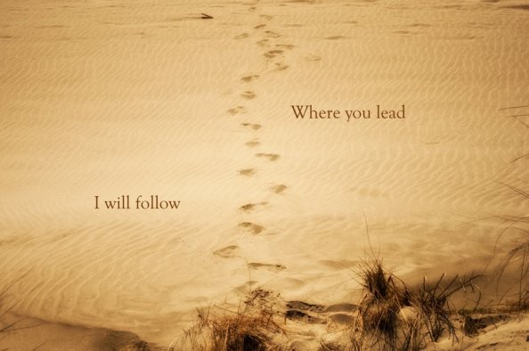 Where_you_lead___I_will_follow_by_shoreme